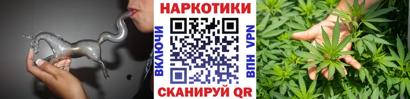 Галлюциногенные грибы Сольцы