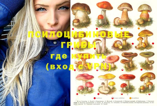 ALPHA PVP Балабаново