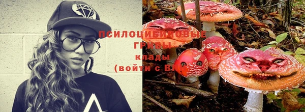 винт Корсаков